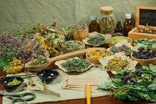 Load image into Gallery viewer, Wellness Herb Blend