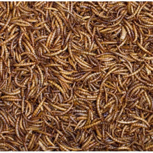 Load image into Gallery viewer, DOUBLE PACK! Mealworms and Fly Larvae Package
