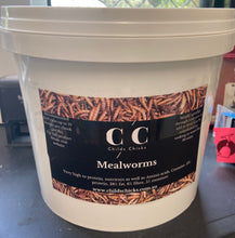 Load image into Gallery viewer, DOUBLE PACK! Mealworms and Fly Larvae Package