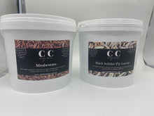 Load image into Gallery viewer, DOUBLE PACK! Mealworms and Fly Larvae Package