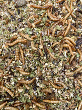 Load image into Gallery viewer, Egg Laying Stimulant- Calcium Blend