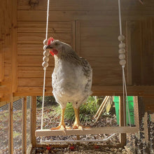 Load image into Gallery viewer, Solid Chook Swing
