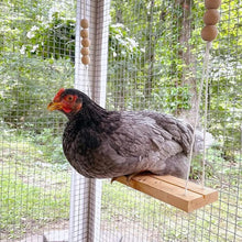 Load image into Gallery viewer, Solid Chook Swing
