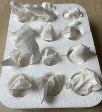 Load image into Gallery viewer, Brahma -Mixed fertile eggs
