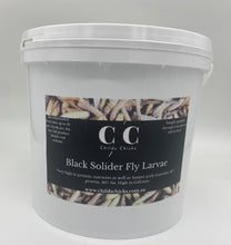 Load image into Gallery viewer, Black Soldier Fly Larvae-Popped
