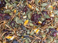 Load image into Gallery viewer, Multi pack! Wellness blend and Revival and Moult!
