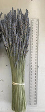 Load image into Gallery viewer, Dried Lavender Stems
