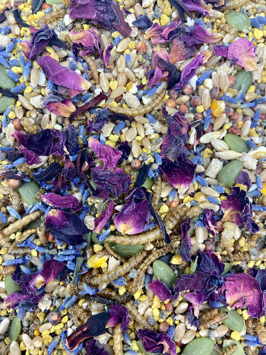 Spring Surprise Blend- WITH BEE POLLEN!